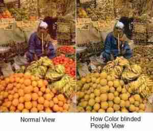 colorblind-view