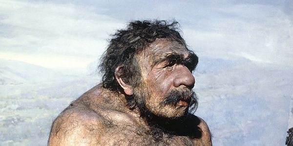 Neanderthal Man