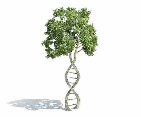 Ahtapot-ahtapot_dnası-uzaylı-uzaylı_ahtapot-epigenetik