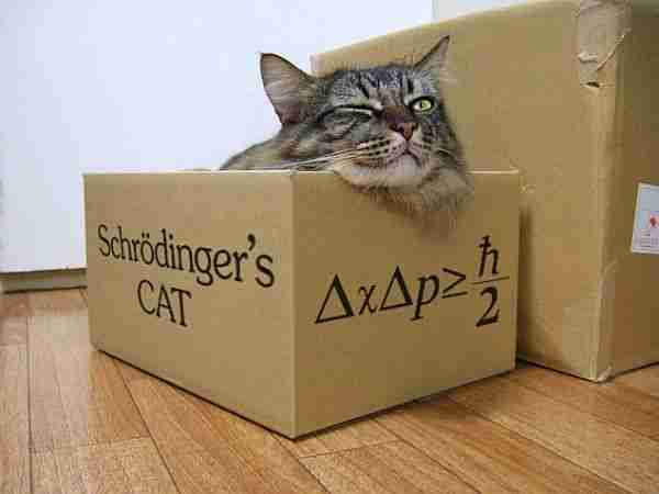 Kuantum_bilgisayar-kuantum-kuantum_fiziği-atom-schrödinger