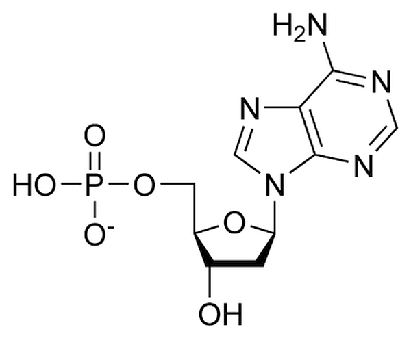 Kuantum-dolanıklık-dna-baz_çifti-genetik
