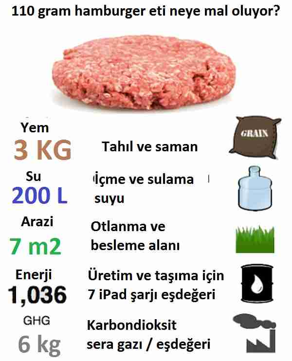 Sentetik ipek zamanı geliyor. Gelecekte bu tür bir kıyafet aynı zamanda kurşungeçirmez olabilir.