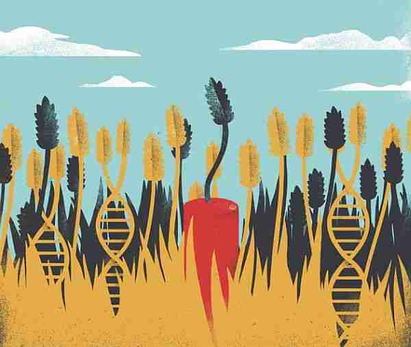 crispr-cas9-crispr_cas9-gen_tedavisi-kök_hücre
