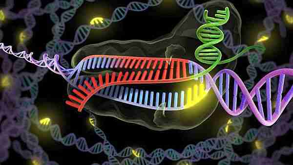 crispr-cas9-crispr_cas9-gen_tedavisi-kök_hücre