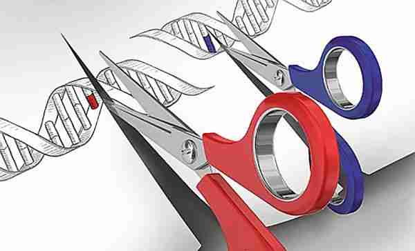 crispr-cas9-crispr_cas9-gen_tedavisi-kök_hücre
