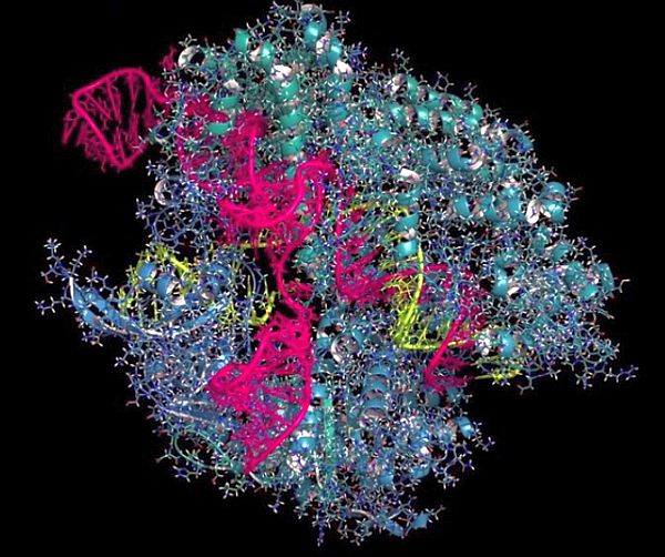 crispr-cas9-crispr_cas9-gen_tedavisi-kök_hücre
