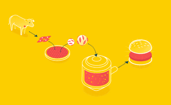 sentetik_et-kırmızı_et-et-biyoprinter-memphis_meats