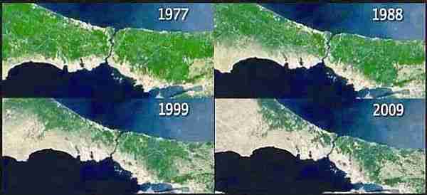 ormanlar-küresel_ısınmaya-küresel_ısınma-karbondioksit-metan
