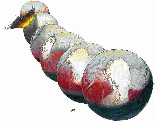 çılgın_ayları-ayları-plüton-uydu-charon