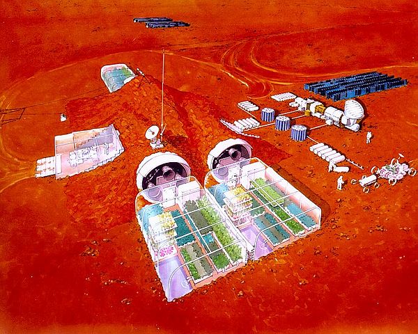 Mars'ta nasıl yaşayacak bitki 16