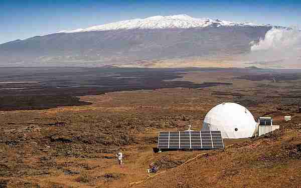 Mars'ta nasıl yaşayacak bitki 6