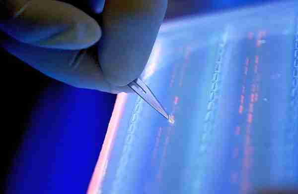 dna haritam Epigenetik-genetik-dna-gen-kodlama