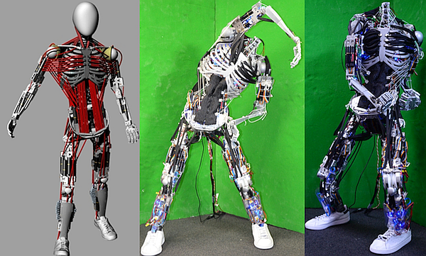 yapay_kaslı-yapay_kas-giyilebilir_robot-dış_iskelet