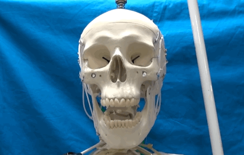 yapay_kaslı-yapay_kas-giyilebilir_robot-dış_iskelet