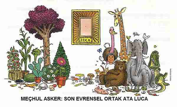 yaşam-hayat-yaşam_neden_var-nick_lane-luca