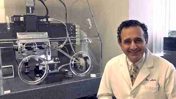 insan_kalbi-kalp-biyoprinter-3d_printer-york