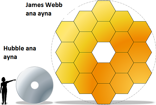 1200px-JWST-HST-primary-mirrors.svg_.png