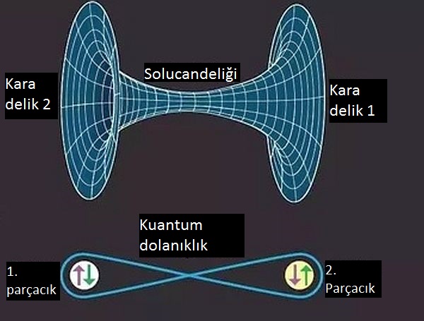 ışıktan_hızlı-kuantum_ışınlama-ışınlama-alice-alice_harikalar_diyarında