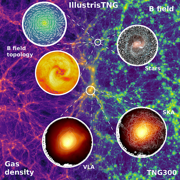 illustrisTNG-Illustris_TNG-illustris-galaksi-evren