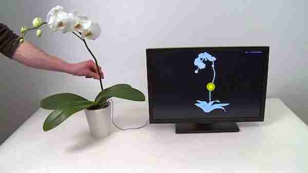 Biyonik-bitkiler-ve-laptop-şarj-eden-elektronik-güller