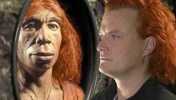 Laboratuarda-mini-neandertal-beyni-üretiyorlar