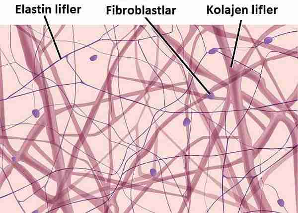 Plastik-cerrahi-için-moleküler-bıçak-geliyor