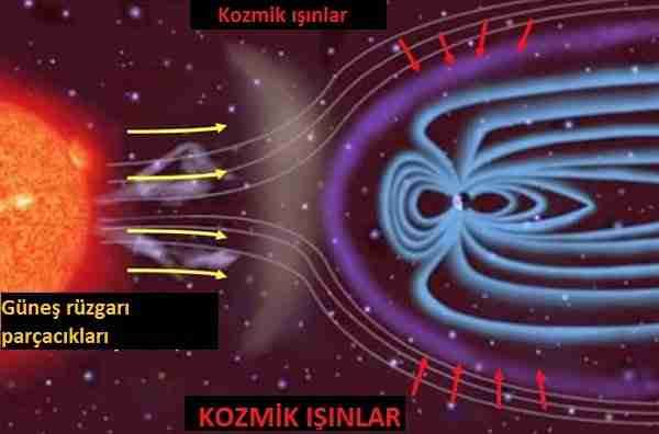 Çifte-sarmal-dna-neden-sağ-elli