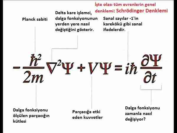 Kuantum-Darwinizm-evren-doğal-seçilimle-mi-oluştu