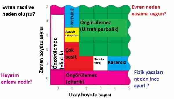Kuantum-Darwinizm-evren-doğal-seçilimle-mi-oluştu