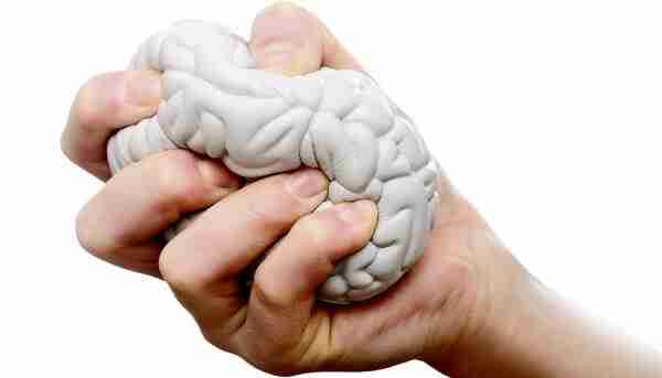 Varlık Felsefesi: Sandalyeler Gerçekten Var mı? 28 brain plasticity 1600